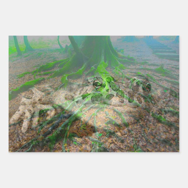 Hoja De Papel De Regalo Rana de la sapo verde (Anverso)