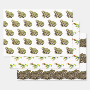 Hoja De Papel De Regalo Ranas