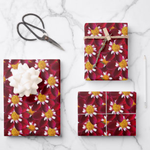 Hoja De Papel De Regalo Red Dahlia