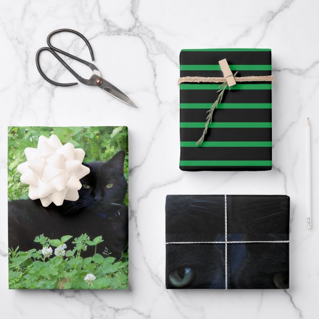 Hoja De Papel De Regalo Regalo o arte para los amantes del gato negro (Anverso)