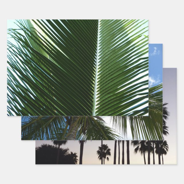 Hoja De Papel De Regalo Resumen verde tropical de palmeras que se abruman (Set)