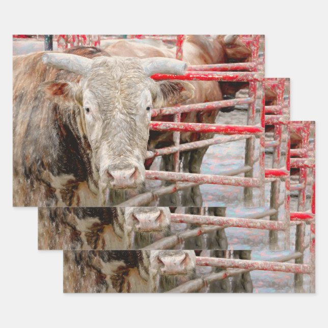 Hoja De Papel De Regalo Rodeo Bull Rustic Country Western (Set)