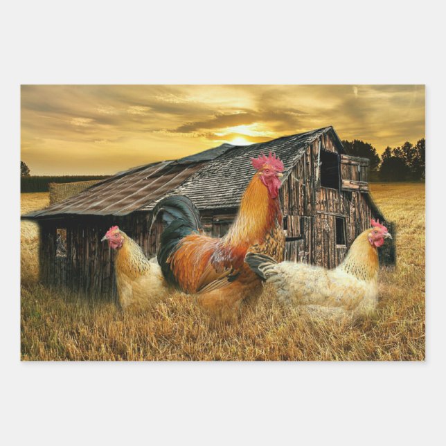 Hoja De Papel De Regalo Rooster Hens Rustic Barn Coop (Anverso)