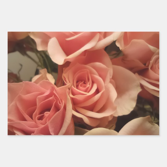 Hoja De Papel De Regalo Rosas rosadas (Anverso)