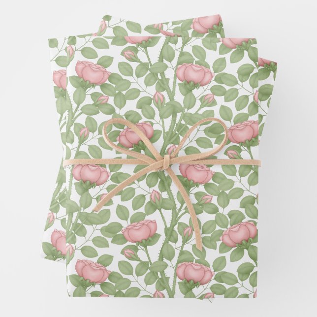 Hoja De Papel De Regalo Rosas rosadas sobre blanco (In situ)