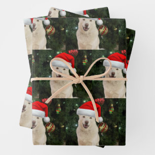 Hoja De Papel De Regalo Santa Paws - Crystal the Husky