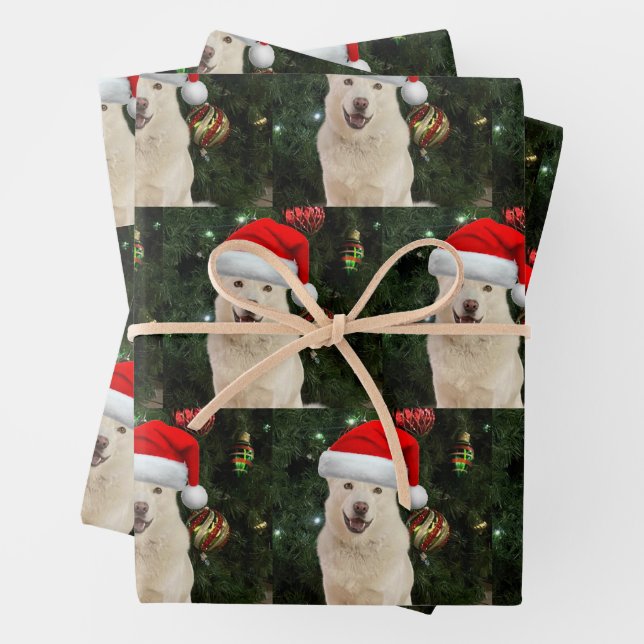 Hoja De Papel De Regalo Santa Paws - Crystal the Husky (In situ)