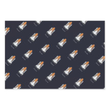 Satélite Astronauta del Sistema Solar de Cohetes d