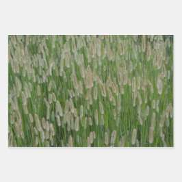 Hoja De Papel De Regalo Semillas de gramíneas verdes altas