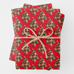 Hoja De Papel De Regalo Siete pugs-a-Posing
