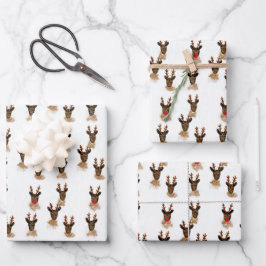 Hoja De Papel De Regalo Sleepy Snowy Reindeer Rustic Navidades