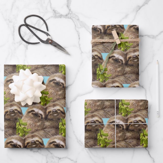 Hoja De Papel De Regalo Sloth Couple (Anverso)