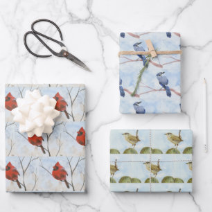 Hoja De Papel De Regalo Songbirds