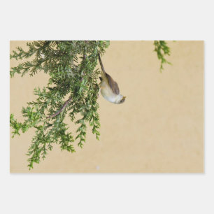 Hoja De Papel De Regalo Sparrow