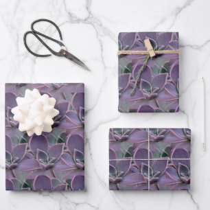 Hoja De Papel De Regalo Suculento púrpura