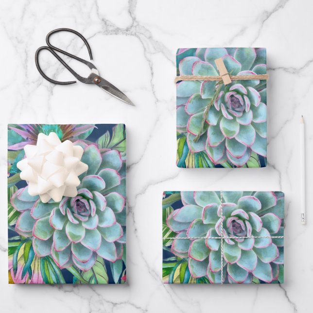 Hoja De Papel De Regalo Suculentos Echeveria Cactus Flowers Patrón (Anverso)