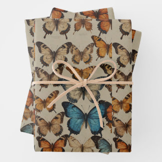Hoja De Papel De Regalo Sueños de mariposa: Elegante mariposa envolver la 