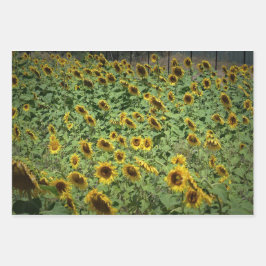 Hoja De Papel De Regalo Sunflower