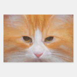 Hoja De Papel De Regalo Tabby Cat Naranja White Cute Fluffy Hermoso