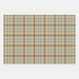 Hoja De Papel De Regalo Tan and Wedgewood Blue Modern