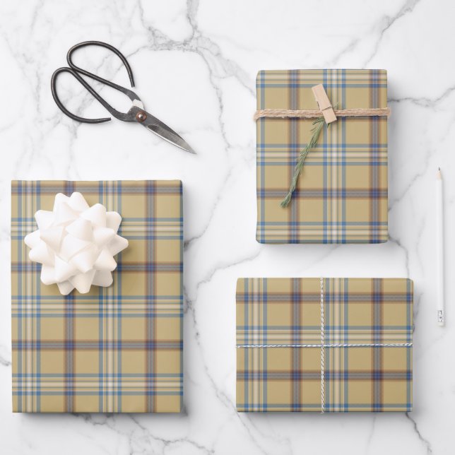 Hoja De Papel De Regalo Tan y azul Wedgewood moderno (Anverso)