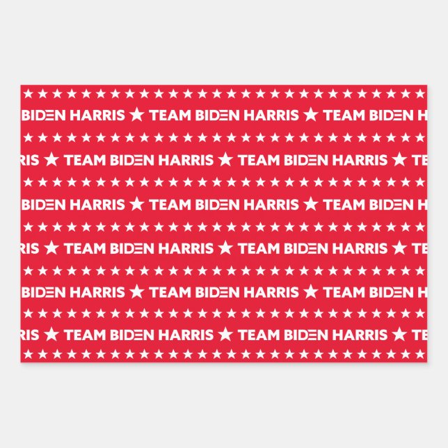 Hoja De Papel De Regalo Team Biden Harris Personalizado del patrón de estr (Anverso)
