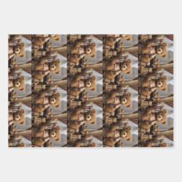 Hoja De Papel De Regalo Ted. E. Oso