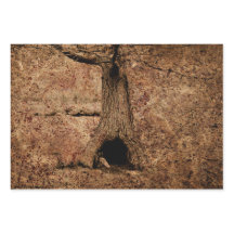 Textura de árbol de grunge rústico del campo marró