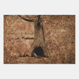 Hoja De Papel De Regalo Textura de árbol de grunge rústico del campo marró