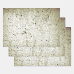 Hoja De Papel De Regalo Textura Monocromo Pekín Vintage Rústica Descompo