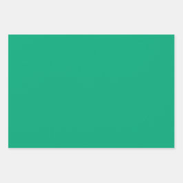 Hoja De Papel De Regalo Tonos verdes Plain Munsell Forest GO 3 tonos