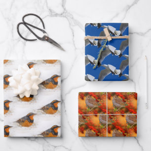 Hoja De Papel De Regalo Tordos Variados y ermitaños y gaviotas de pico ani