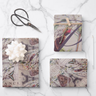 Hoja De Papel De Regalo Torre Eiffel Botánica de Pájaro Francés