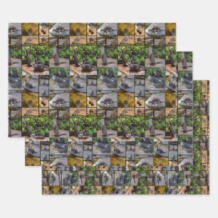 Hoja De Papel De Regalo **"Totalmente adorable: Un Collage de fotos de nut