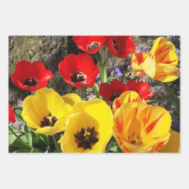 Hoja De Papel De Regalo Tulipanes amarillos y rojos