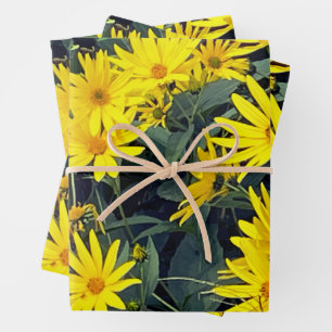 Hoja De Papel De Regalo Tupinambo