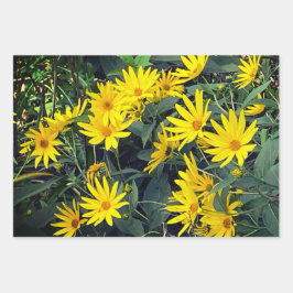 Hoja De Papel De Regalo Tupinambo