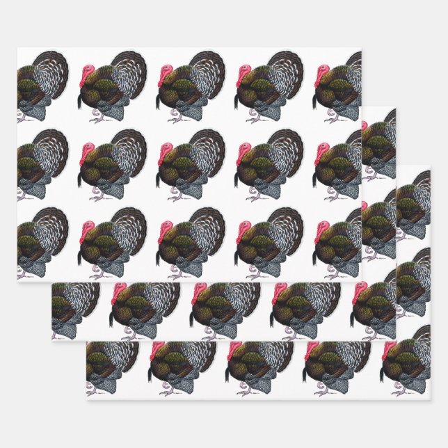 Hoja De Papel De Regalo Turquía:  Bronce Tom (Set)