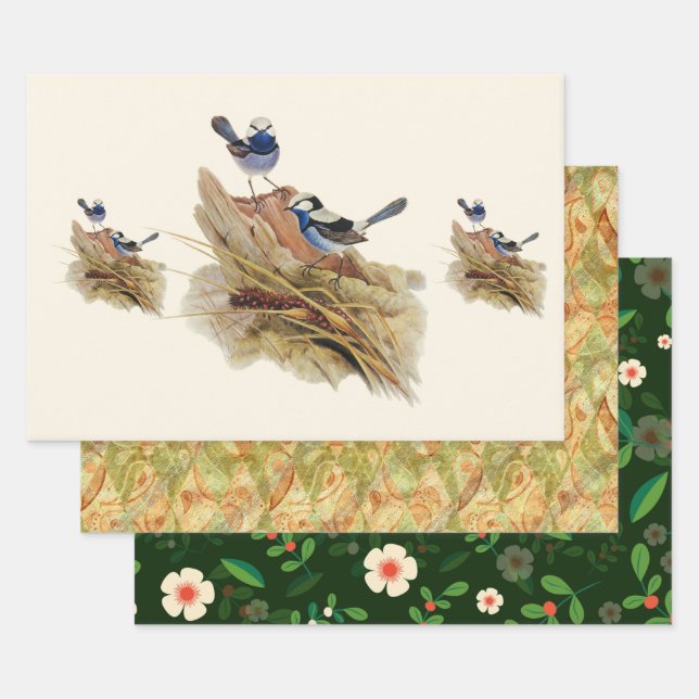 Hoja De Papel De Regalo Turquoisine Superb Warbler (Set)