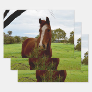 Hoja De Papel De Regalo "Un soplo de naturaleza: un caballo castaño y bank