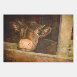 Hoja De Papel De Regalo Vaca De Textura Vintage En El País Rústico De Barn