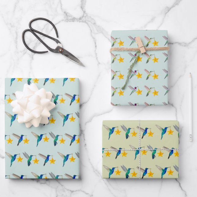 Hoja De Papel De Regalo Vacaciones del Colibrí (Anverso)