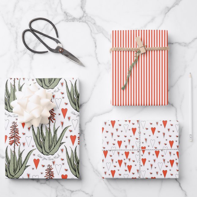 Hoja De Papel De Regalo Valentines Aloe Plants Suculents Stripes Hearts (Anverso)