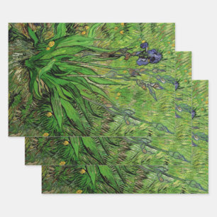 Hoja De Papel De Regalo Vincent van Gogh - Iris