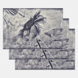 Hoja De Papel De Regalo Vintage De Sunflower Textura Negra Y Blanca Antigu