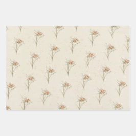 Hoja De Papel De Regalo Vintage Floral Watercolor Edelweiss