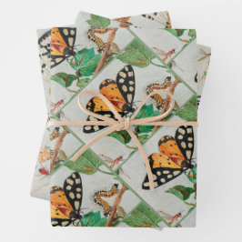 Hoja De Papel De Regalo Vintage illustration of butterflies on berries