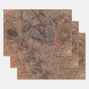 Hoja De Papel De Regalo Vintage Sea Shells Ocean Beach Brown Decoupage