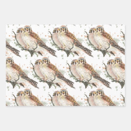 Hoja De Papel De Regalo Watercolor Art Birding Kestrel Pareja