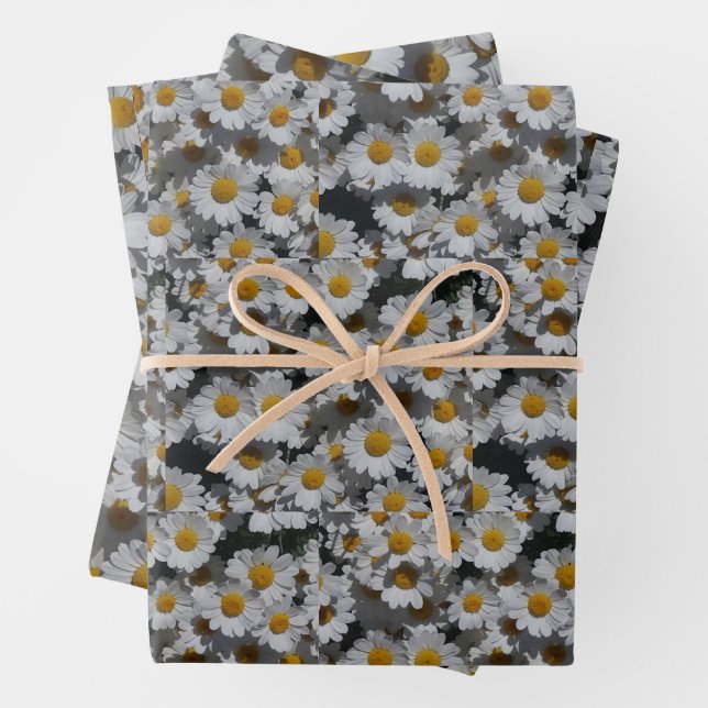 Hoja De Papel De Regalo White Daisies (In situ)